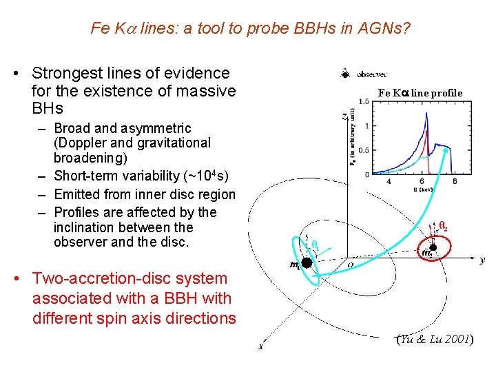 Fe K lines: a tool to probe BBHs in AGNs? • Strongest lines of