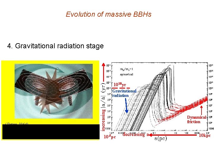 Evolution of massive BBHs 4. Gravitational radiation stage 1010 yr (Peters 1964) increasing Gravitational