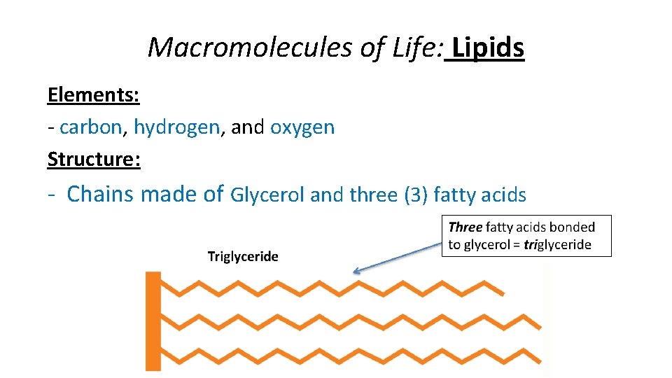 Macromolecules of Life: Lipids Elements: - carbon, hydrogen, and oxygen Structure: - Chains made
