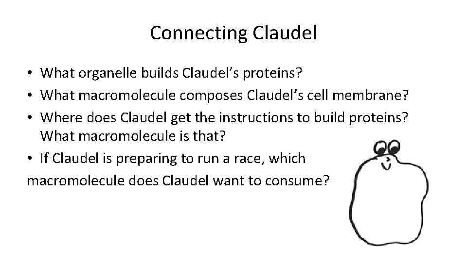 Connecting Claudel • What organelle builds Claudel’s proteins? • What macromolecule composes Claudel’s cell