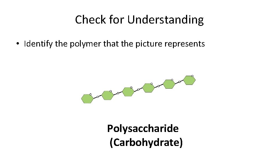 Check for Understanding • Identify the polymer that the picture represents Polysaccharide (Carbohydrate) 