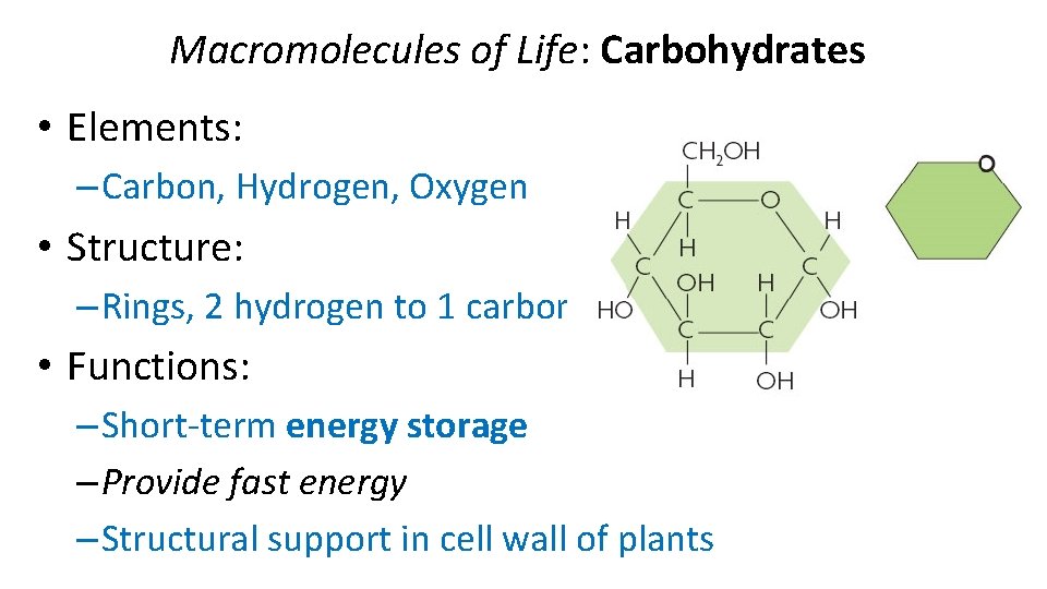Macromolecules of Life: Carbohydrates • Elements: – Carbon, Hydrogen, Oxygen • Structure: – Rings,