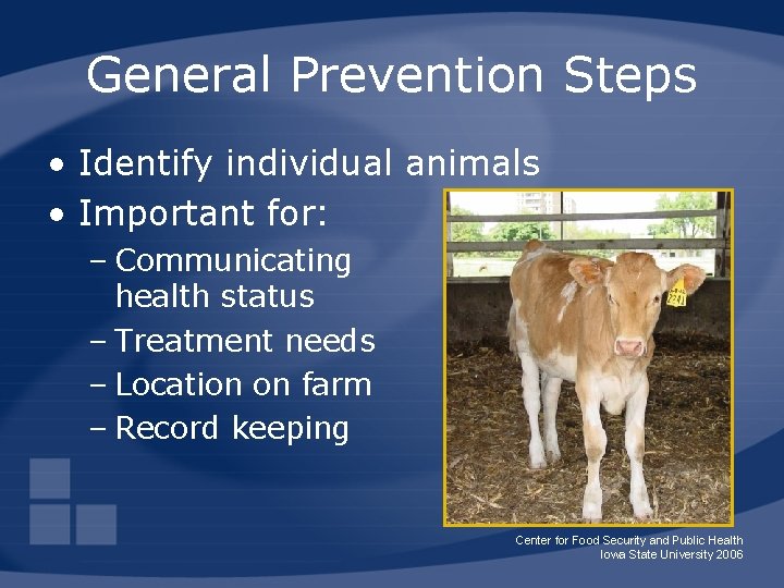 General Prevention Steps • Identify individual animals • Important for: – Communicating health status