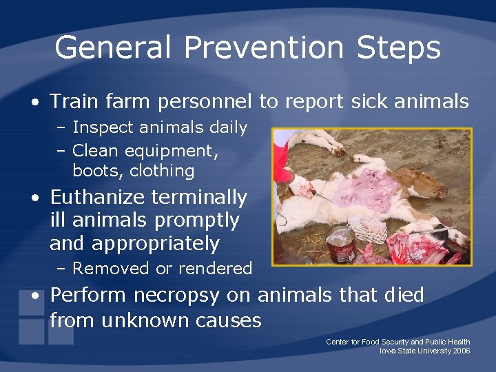 General Prevention Steps • Train farm personnel to report sick animals – Inspect animals