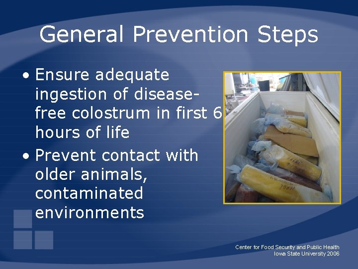 General Prevention Steps • Ensure adequate ingestion of diseasefree colostrum in first 6 hours