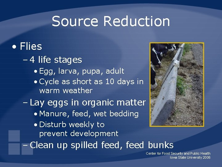 Source Reduction • Flies – 4 life stages • Egg, larva, pupa, adult •