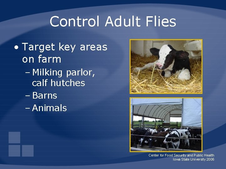 Control Adult Flies • Target key areas on farm – Milking parlor, calf hutches