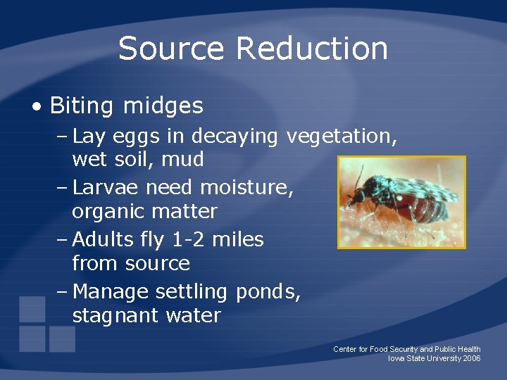 Source Reduction • Biting midges – Lay eggs in decaying vegetation, wet soil, mud