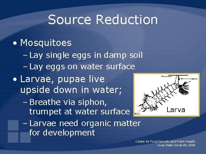 Source Reduction • Mosquitoes – Lay single eggs in damp soil – Lay eggs