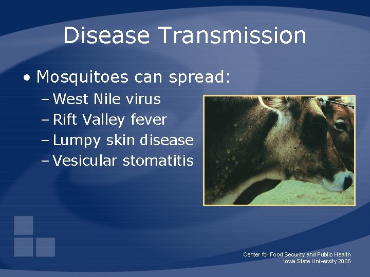 Disease Transmission • Mosquitoes can spread: – West Nile virus – Rift Valley fever