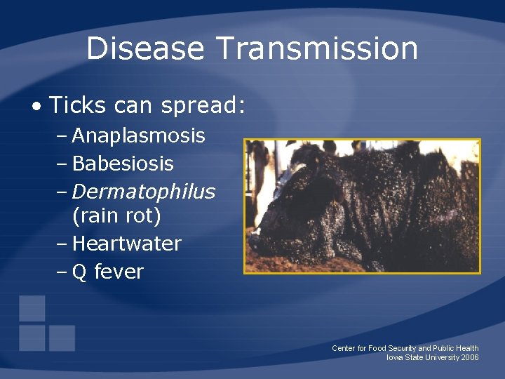 Disease Transmission • Ticks can spread: – Anaplasmosis – Babesiosis – Dermatophilus (rain rot)