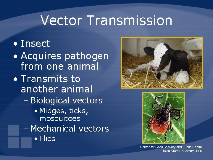 Vector Transmission • Insect • Acquires pathogen from one animal • Transmits to another