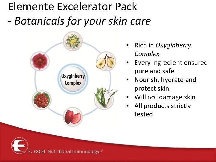 Elemente Excelerator Pack - Botanicals for your skin care • Rich in Oxyginberry Complex