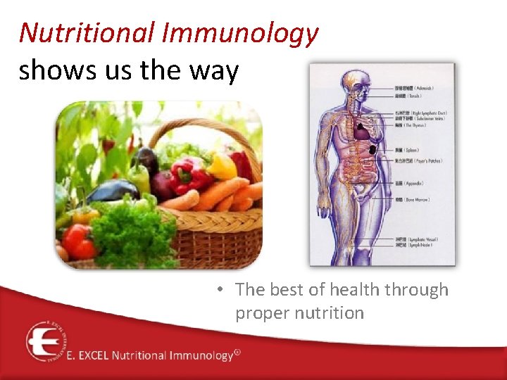 Nutritional Immunology shows us the way • The best of health through proper nutrition