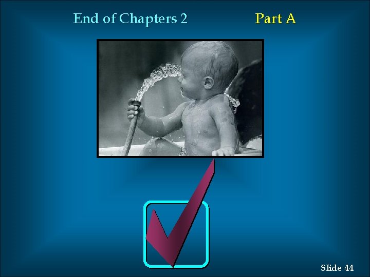 End of Chapters 2 Part A Slide 44 