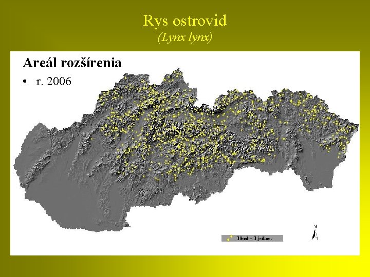 Rys ostrovid (Lynx lynx) Areál rozšírenia • r. 2006 