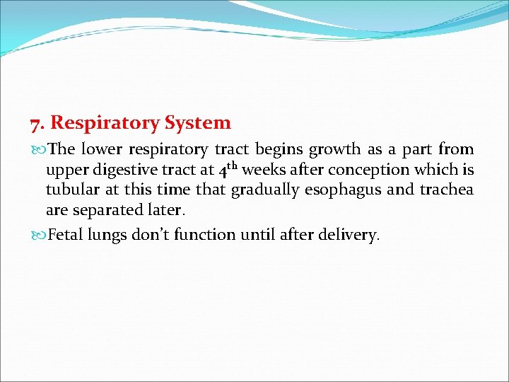 7. Respiratory System The lower respiratory tract begins growth as a part from upper