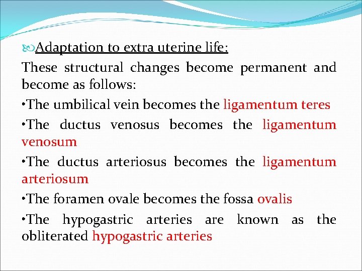  Adaptation to extra uterine life: These structural changes become permanent and become as