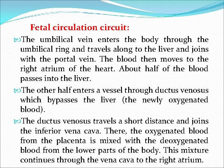 Fetal circulation circuit: The umbilical vein enters the body through the umbilical ring and