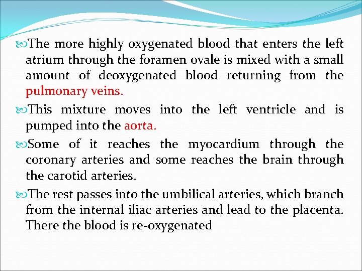  The more highly oxygenated blood that enters the left atrium through the foramen