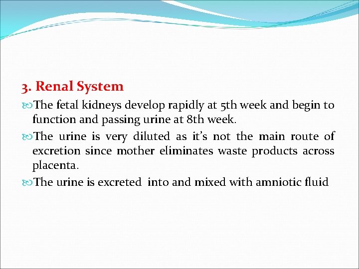 3. Renal System The fetal kidneys develop rapidly at 5 th week and begin