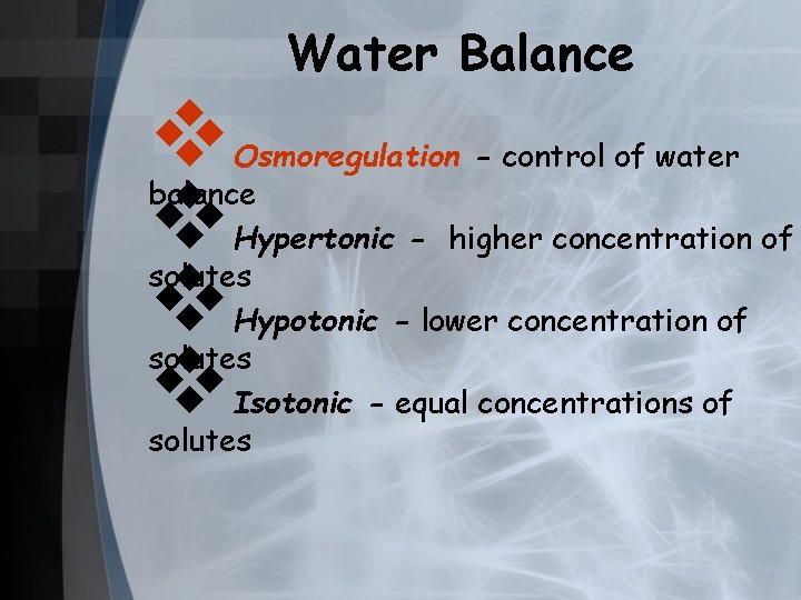 v v Water Balance Osmoregulation - control of water balance Hypertonic - higher concentration