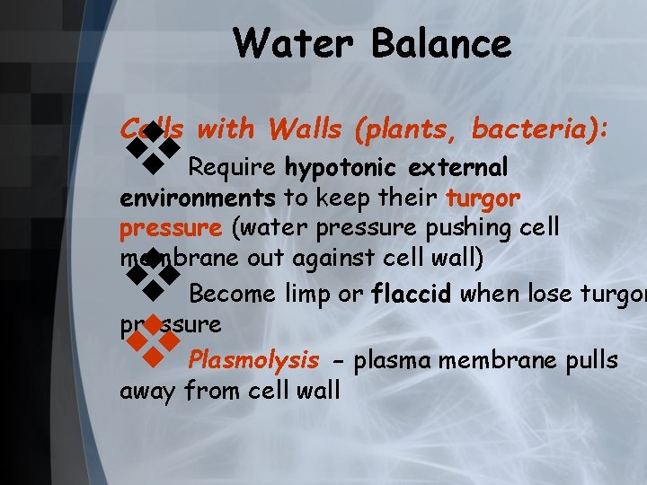 Water Balance Cells with Walls (plants, bacteria): v Require hypotonic external environments to keep