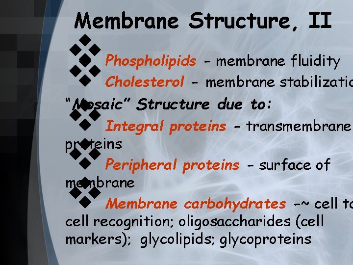Membrane Structure, II v v v Phospholipids - membrane fluidity Cholesterol - membrane stabilizatio