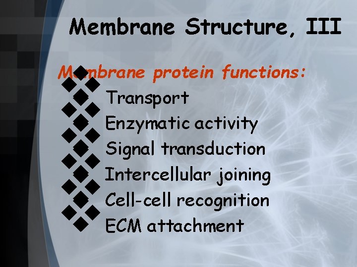 Membrane Structure, III v v v Membrane protein functions: Transport Enzymatic activity Signal transduction