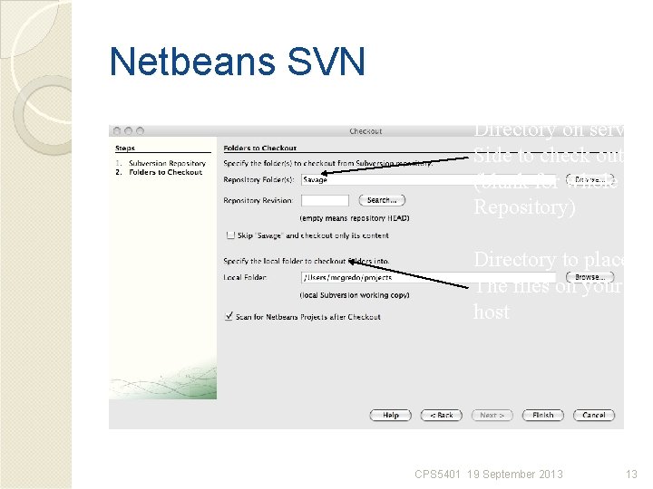Netbeans SVN Directory on server Side to check out (blank for whole Repository) Directory