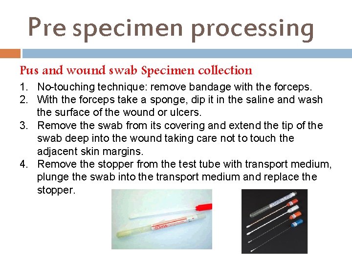 Pre specimen processing Pus and wound swab Specimen collection 1. No-touching technique: remove bandage