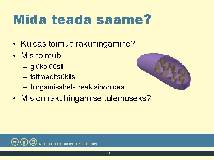 Mida teada saame? • Kuidas toimub rakuhingamine? • Mis toimub – glükolüüsil – tsitraaditsüklis