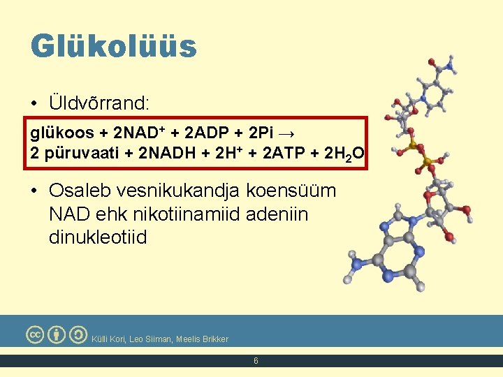 Glükolüüs • Üldvõrrand: glükoos + 2 NAD+ + 2 ADP + 2 Pi →