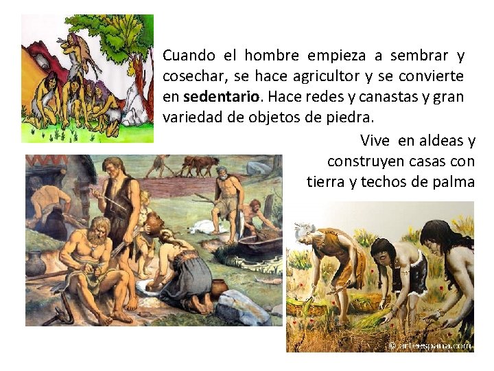 Cuando el hombre empieza a sembrar y cosechar, se hace agricultor y se convierte