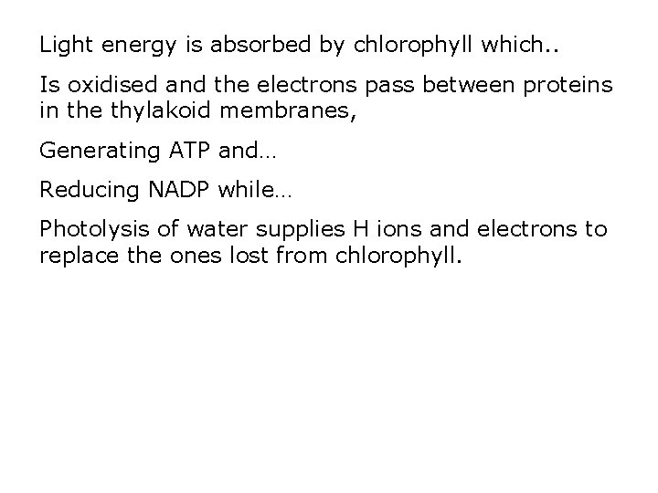 Light energy is absorbed by chlorophyll which. . Is oxidised and the electrons pass