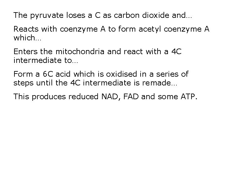 The pyruvate loses a C as carbon dioxide and… Reacts with coenzyme A to