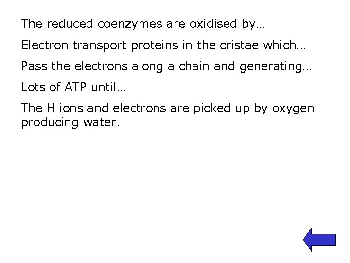 The reduced coenzymes are oxidised by… Electron transport proteins in the cristae which… Pass