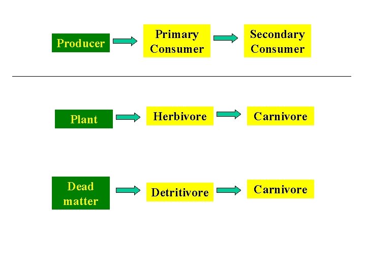Producer Primary Consumer Secondary Consumer Plant Herbivore Carnivore Dead matter Detritivore Carnivore 