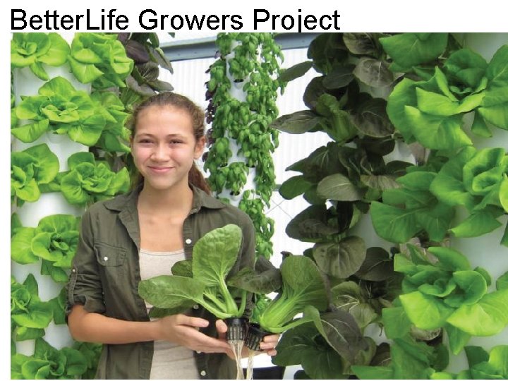 Better. Life Growers Project Led by Atlanta Community Foundation • • Large-scale grower and
