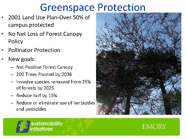 Greenspace Protection • 2001 Land Use Plan-Over 50% of campus protected • No Net