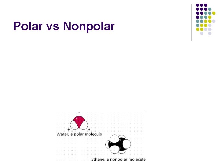 Polar vs Nonpolar 