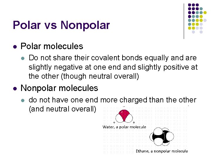 Polar vs Nonpolar l Polar molecules l l Do not share their covalent bonds