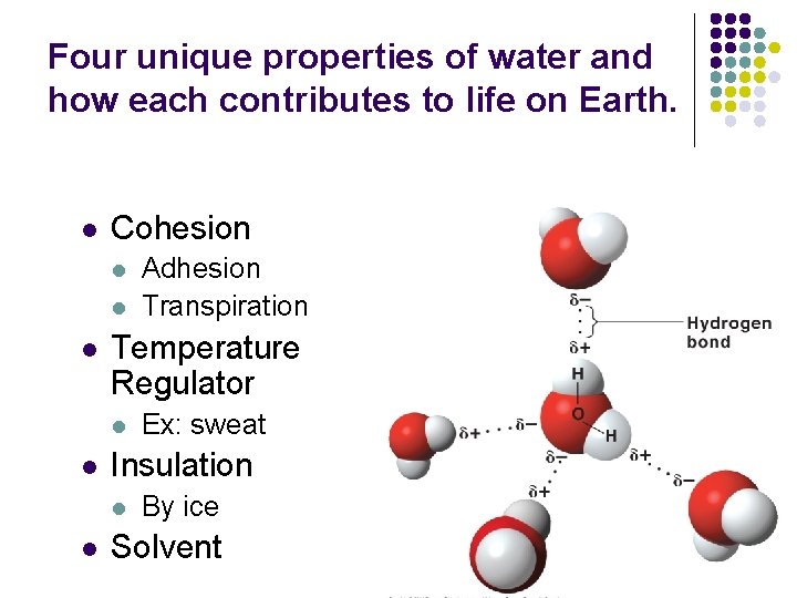 Four unique properties of water and how each contributes to life on Earth. l