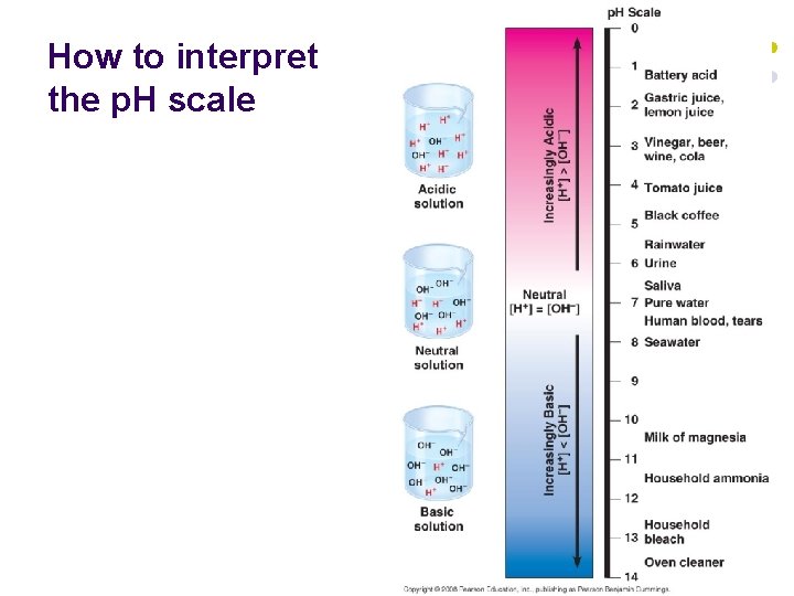 How to interpret the p. H scale 