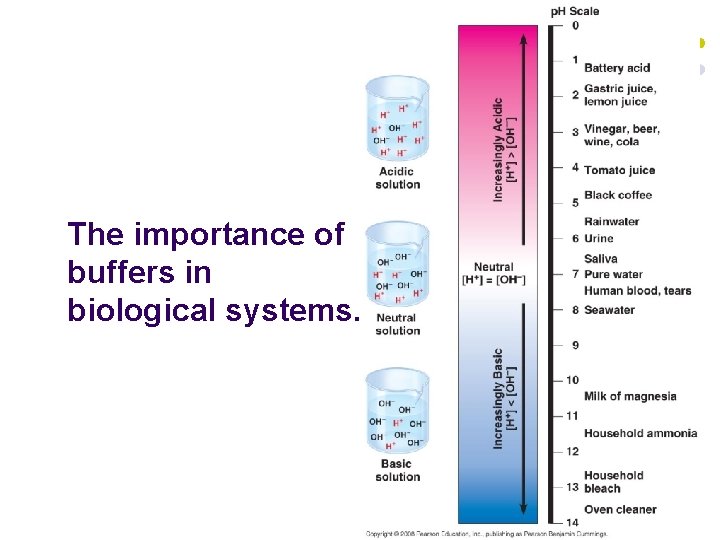 The importance of buffers in biological systems. 