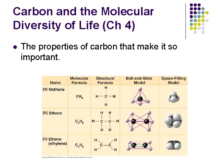 Carbon and the Molecular Diversity of Life (Ch 4) l The properties of carbon