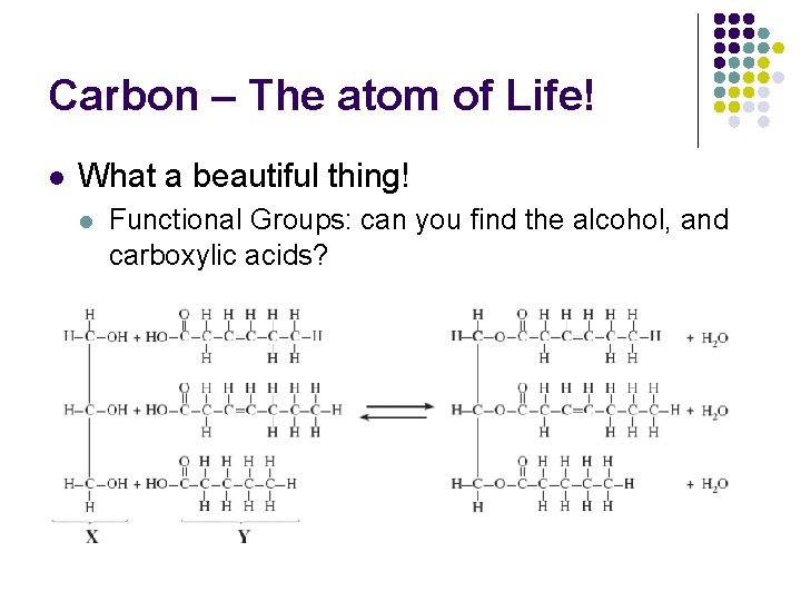 Carbon – The atom of Life! l What a beautiful thing! l Functional Groups: