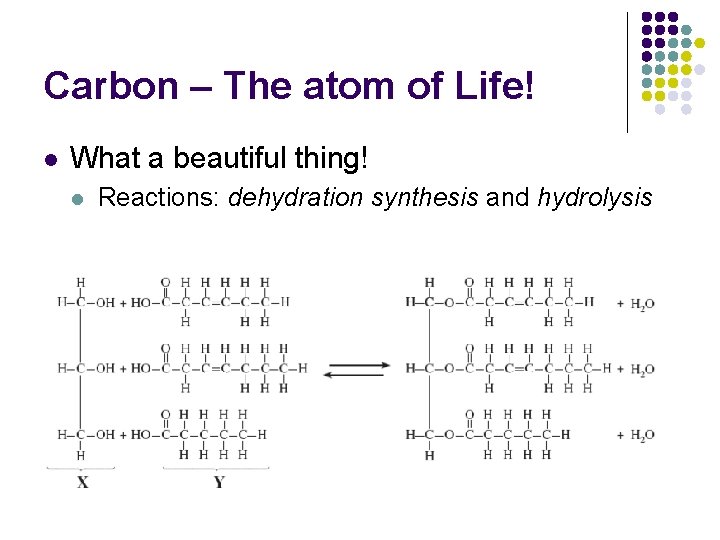 Carbon – The atom of Life! l What a beautiful thing! l Reactions: dehydration