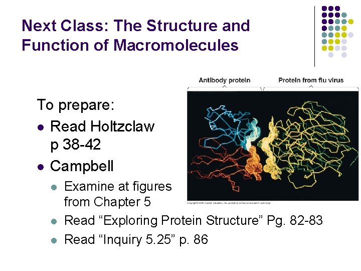 Next Class: The Structure and Function of Macromolecules To prepare: l Read Holtzclaw p