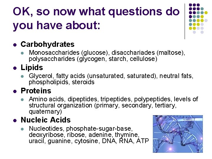 OK, so now what questions do you have about: l Carbohydrates l l Lipids